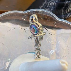 Great Monet parrot brooch